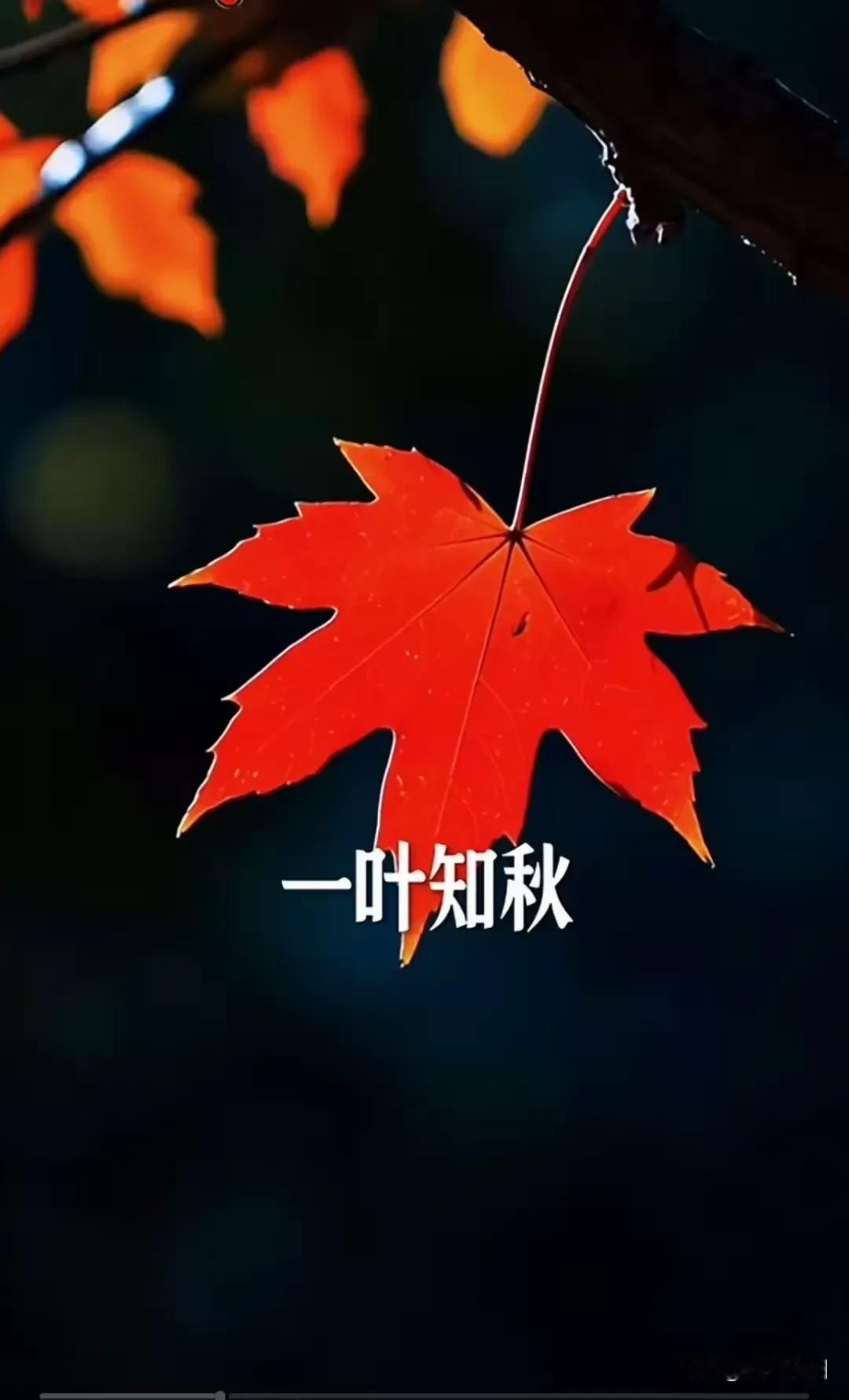 《鹧鸪天·尘绪》

思在心头未肯扬，
相思念念自难忘。
欲逢不见云山远，
拟放还