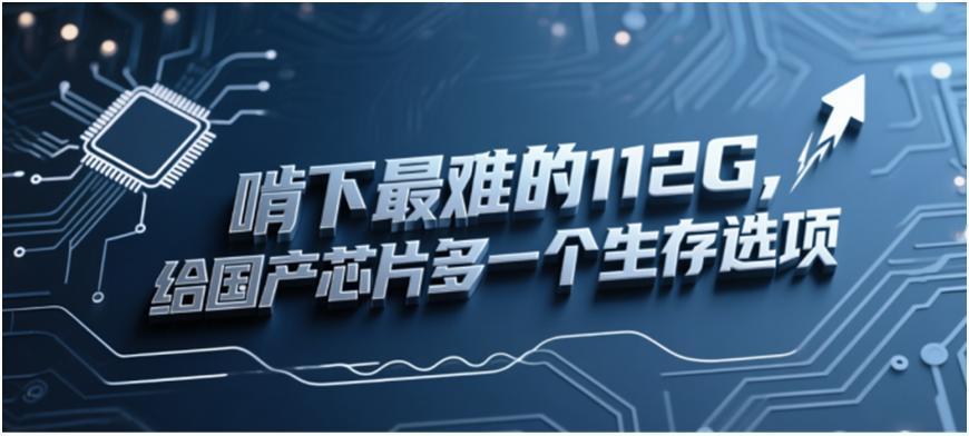 啃下最难的 112G，给国产芯片多一个生存选项
业内人都知道高速SerDes的尴