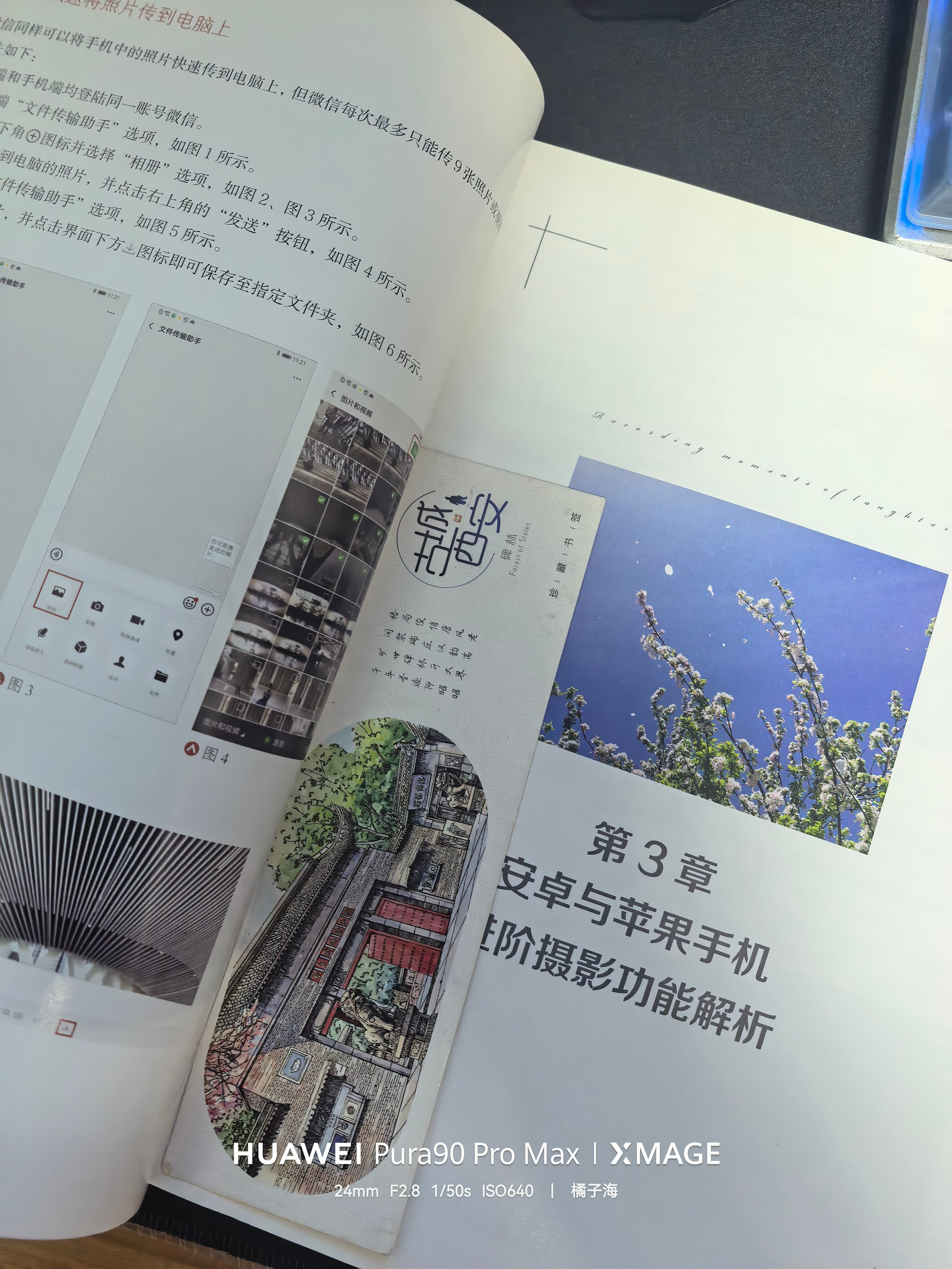 硬核学习日志刚刚又抽时间翻看学习这个手机拍摄技巧，感觉看的过程中，真的对自己有很