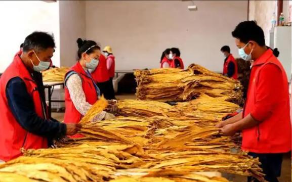 河南小伙投入200万自建烟厂，宣称7天回本，55天狂赚上亿元。被警方抓获之后他还