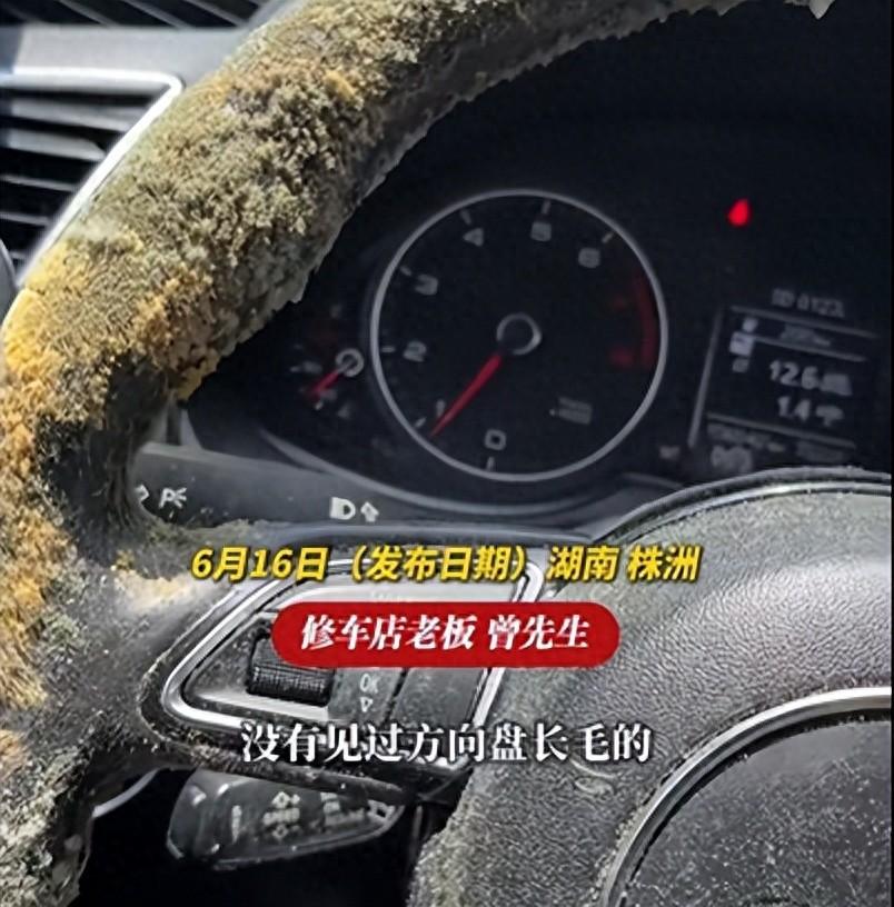 6 月 15 日，湖南株洲的修车店老板曾先生接到了一辆顾客送来的车，打开车门的那