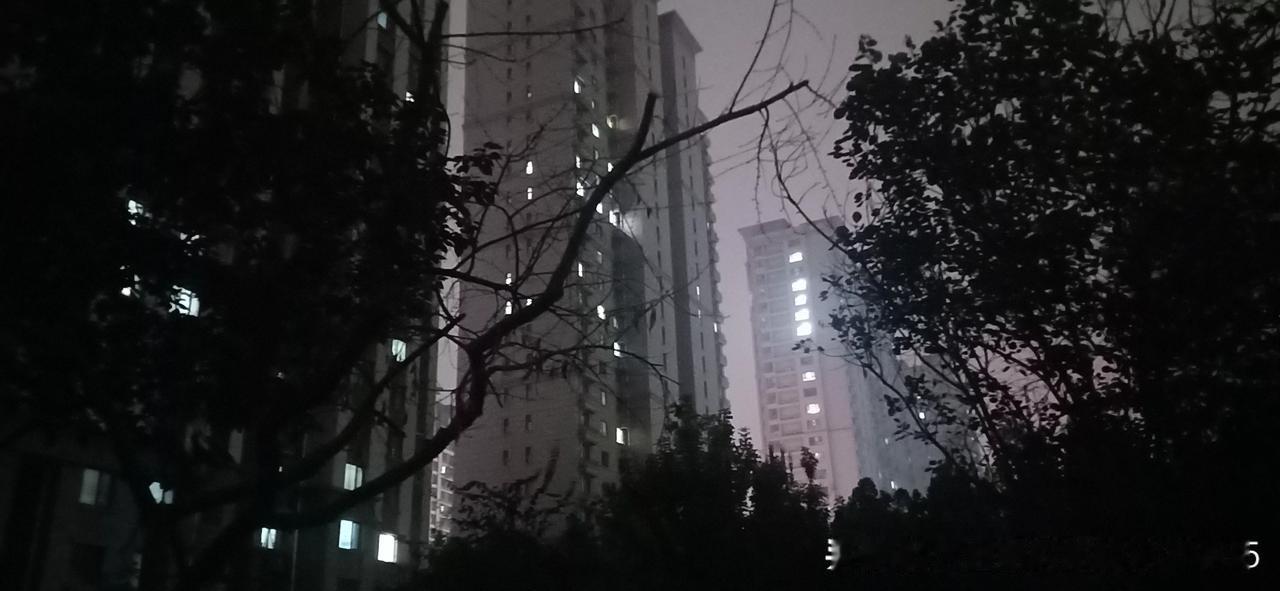 冬雨

不知几时，清晨的小雨悄然来袭，
含蓄优雅，只是轻微润湿了大地，
远方楼宇