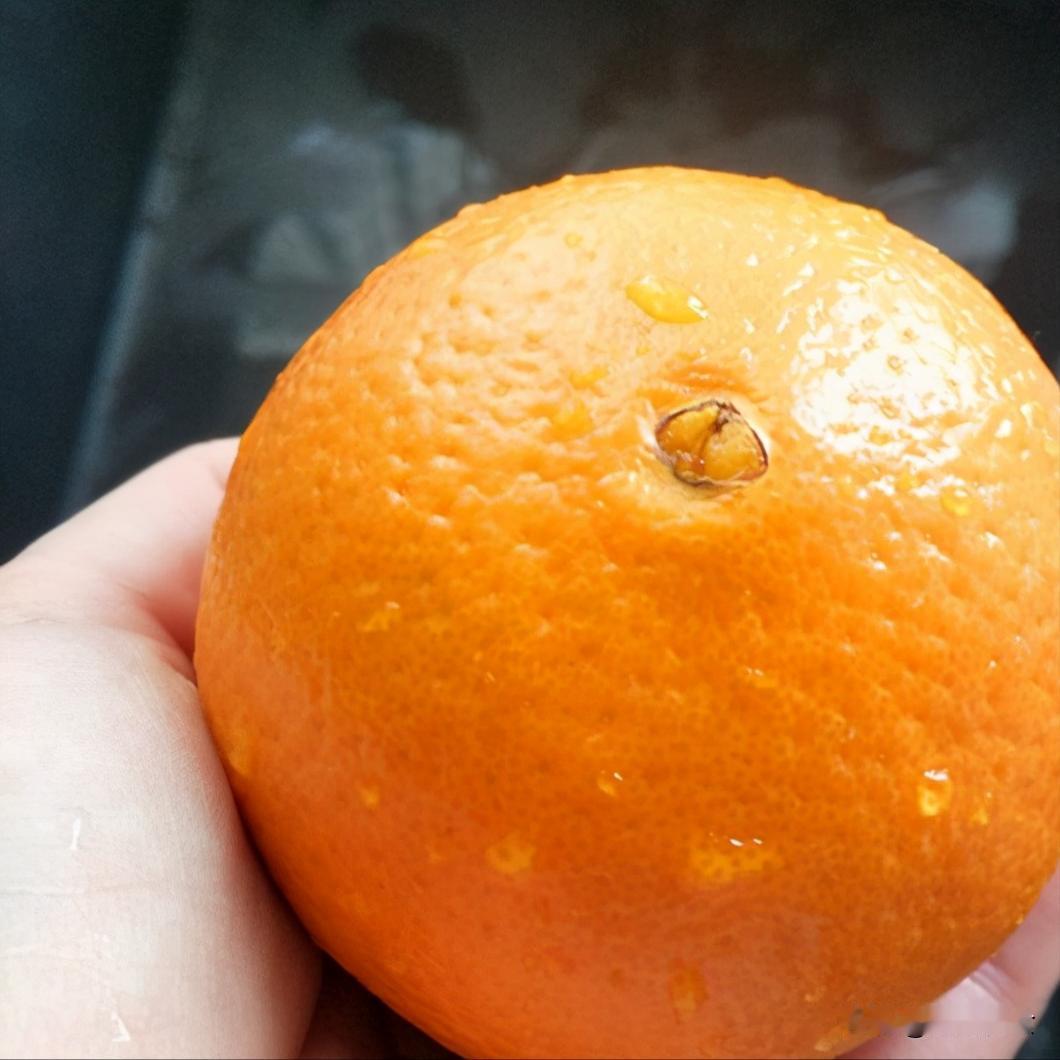 赣州脐橙远远的没有你们想象的那么好挣钱！

赣州虽然人杰地灵，红色故乡，但是真的