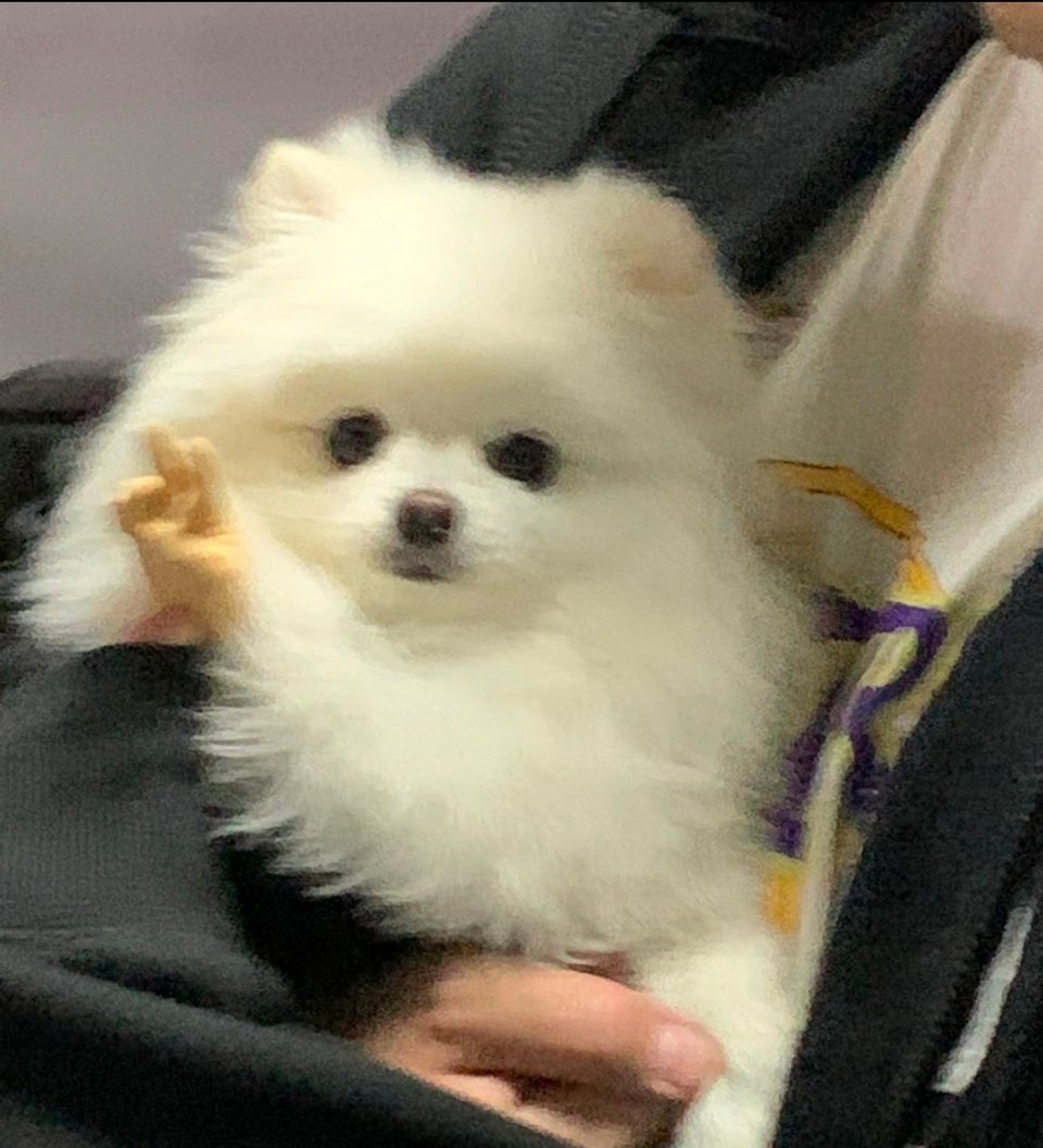 嗯哼？ 