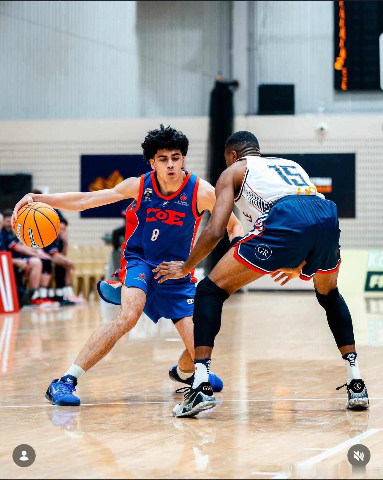 卓越中心去掉超龄的07年的迪克森和尼昂，08的法勒/麦克/库克/莱德尔 带09的
