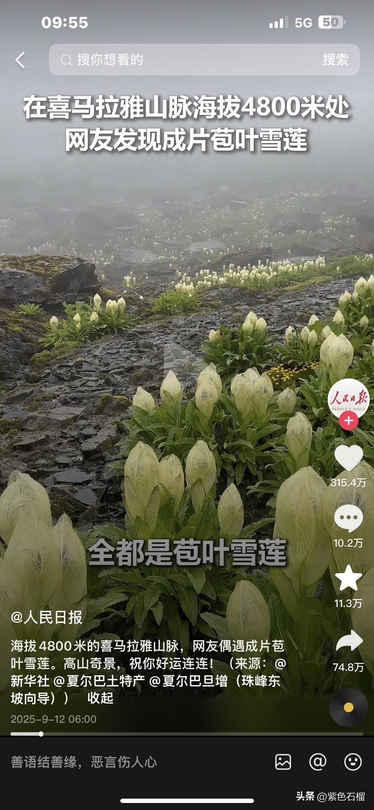 太美了！如果不是人民日报转发，我还以为这画面是Ai做成的呢。
       有网