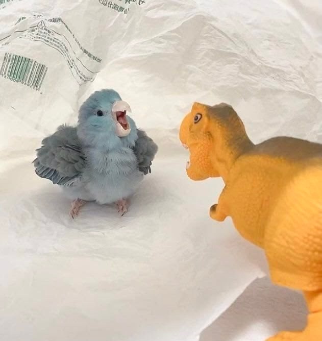 一点不虚 