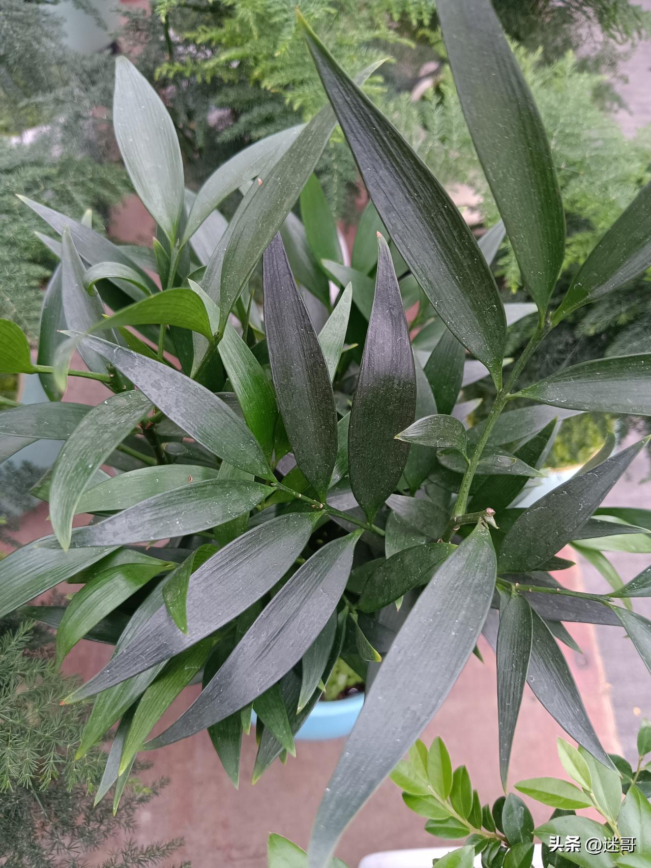 健康的身体、安稳的情绪、心里有盼头。

不用为生计慌，不用被琐事压，能踏实睡一觉