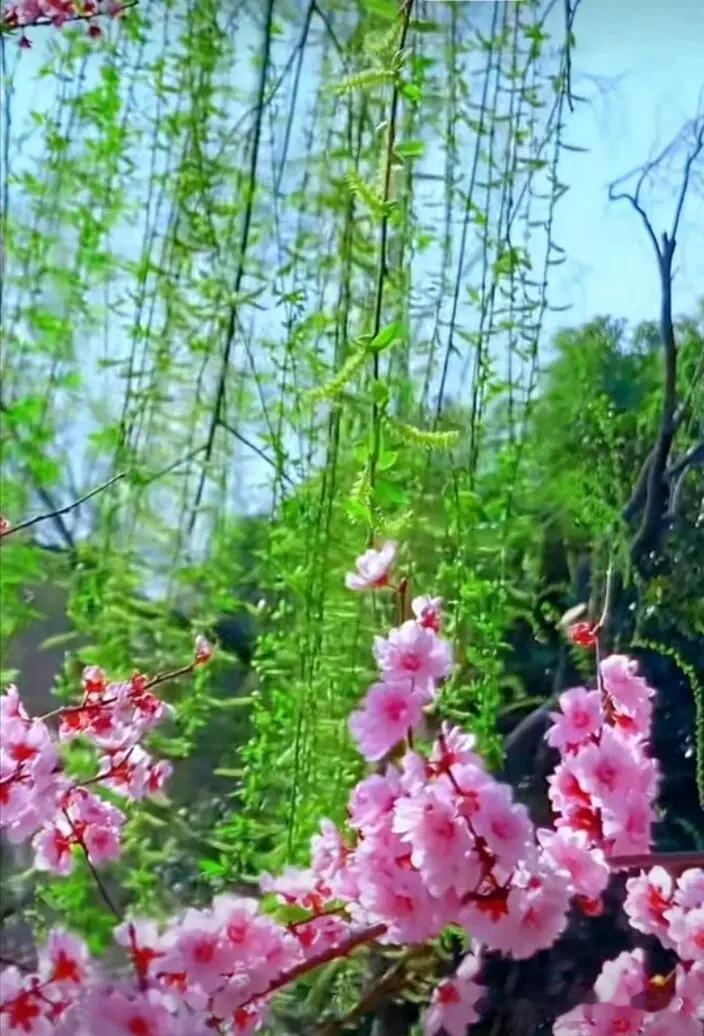 《卜算子·惜流年》
 
青鬓倏成霜，
往事凭谁念。
弹指芳华逐水流，
岁序匆匆变