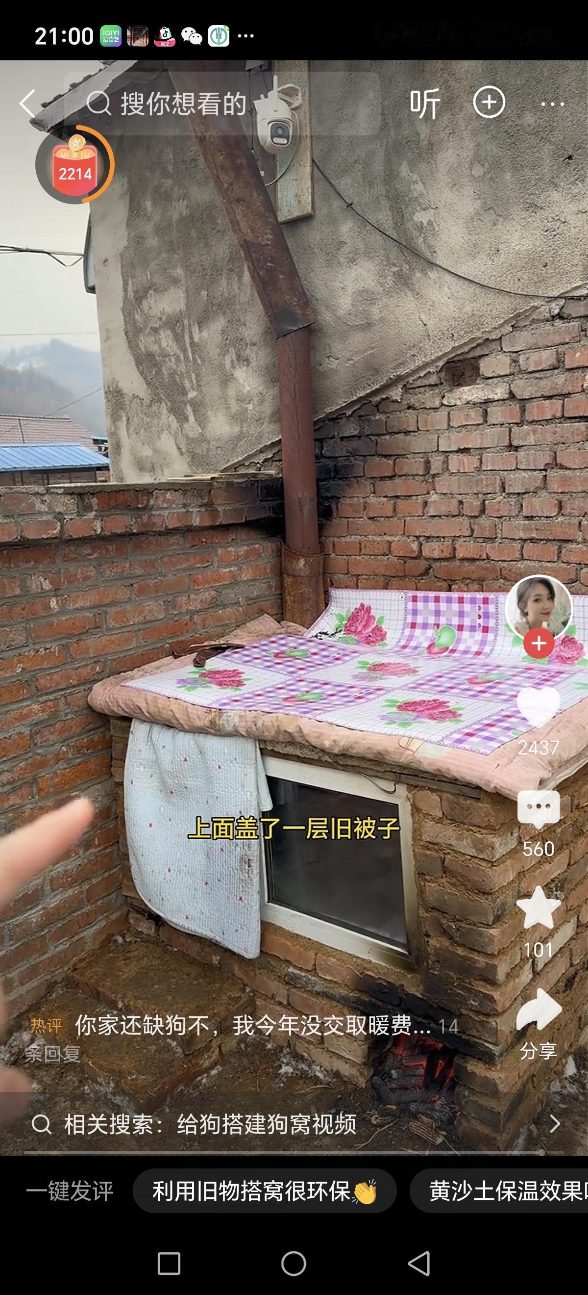 这是一幅温馨又充满趣味的画面：冬日里，一位男子为了给家中的狗狗保暖，特意在狗窝旁