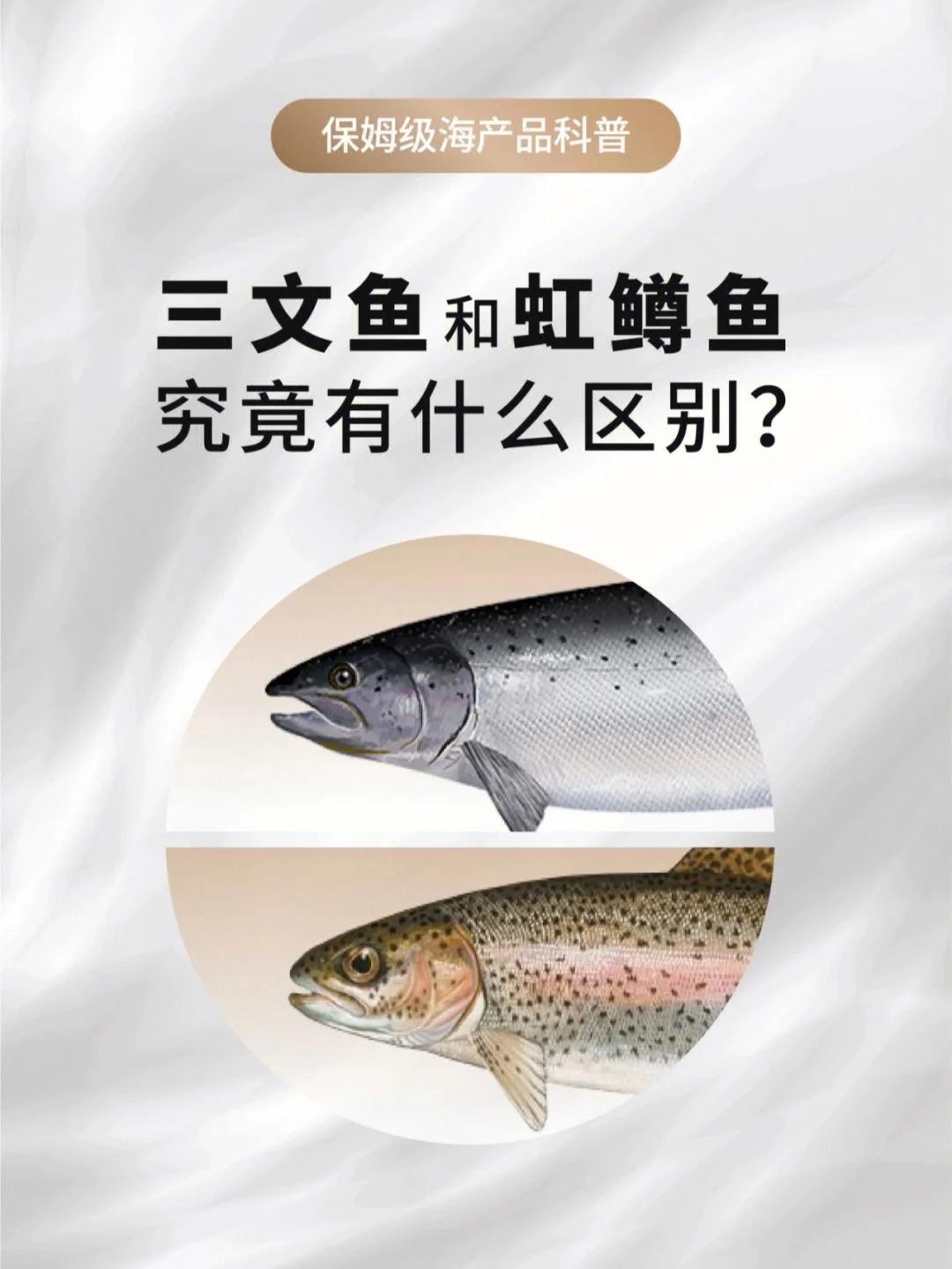 日本核污水的排放，该怎么辨别三文鱼和虹鳟鱼，怎样才能吃到正宗三文鱼

日本核污水