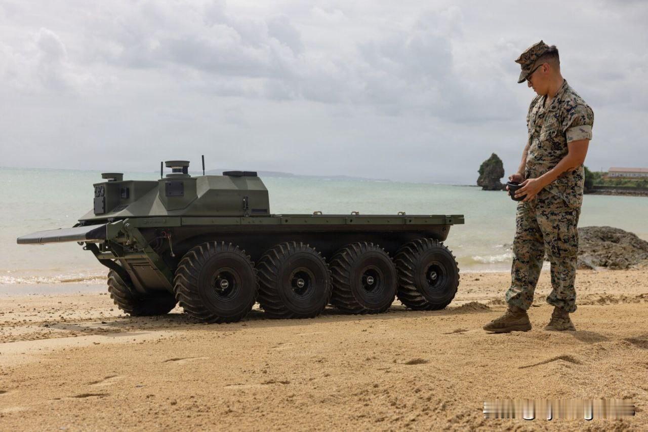 🇯🇵🇺🇸驻扎在日本冲绳岛的美国海军陆战队第三师第四陆战团的士兵使用莱茵金
