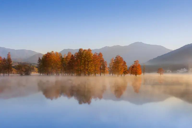 秋意正浓，分享一张我拍的重庆秋色照片。照片里是巫山的红叶，“红霞”与碧绿的长江水