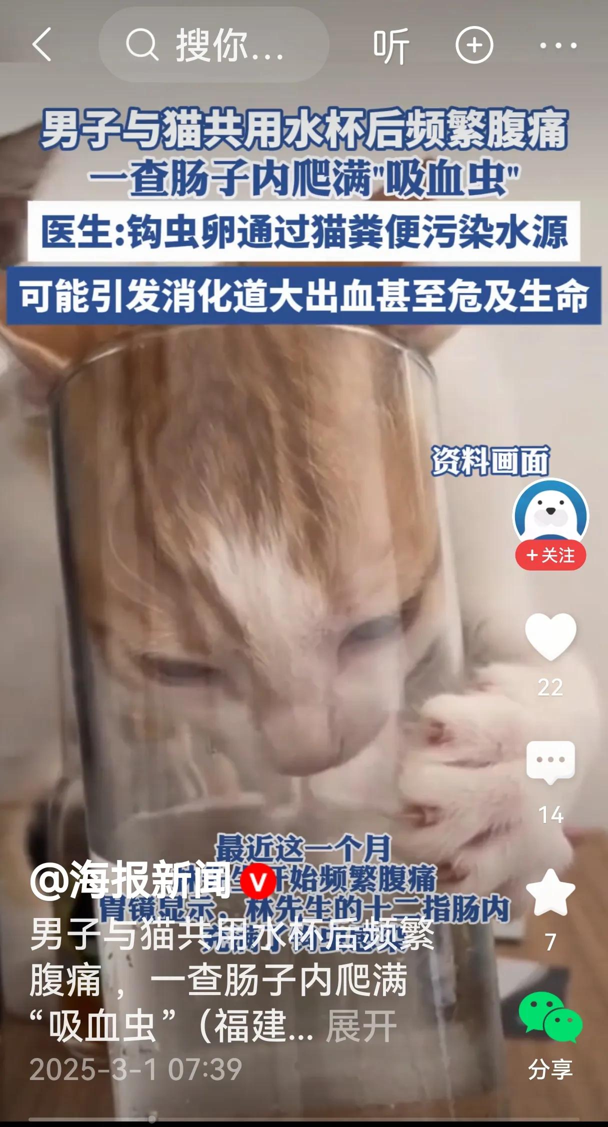 一个人喜欢猫和狗等宠物可以理解，但把这些宠物当成家人，与宠物一起吃饭和睡觉，甚至