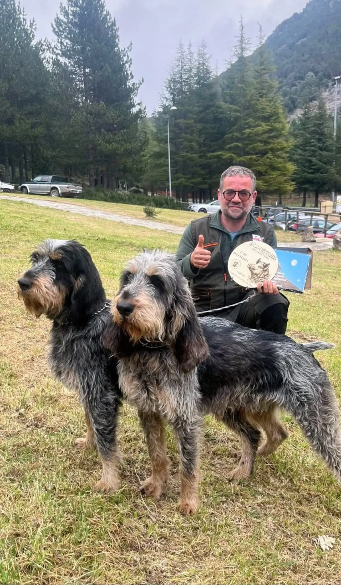 法国猎犬Griffon Bleu de Gascogne（加斯科捏蓝色格里芬犬）