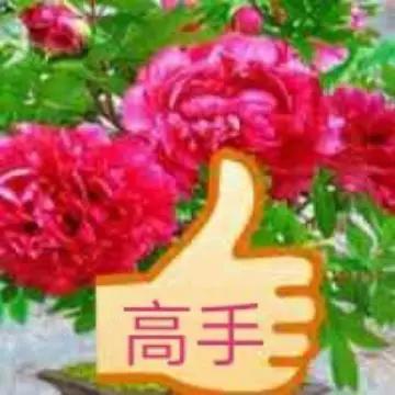 同生共死
[呲牙][呲牙][比心][比心]