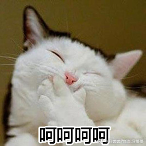 男子用AI一夜赚够一线房首付AI不就是金融交易衍生品么？建了个舆情与交易关键的模