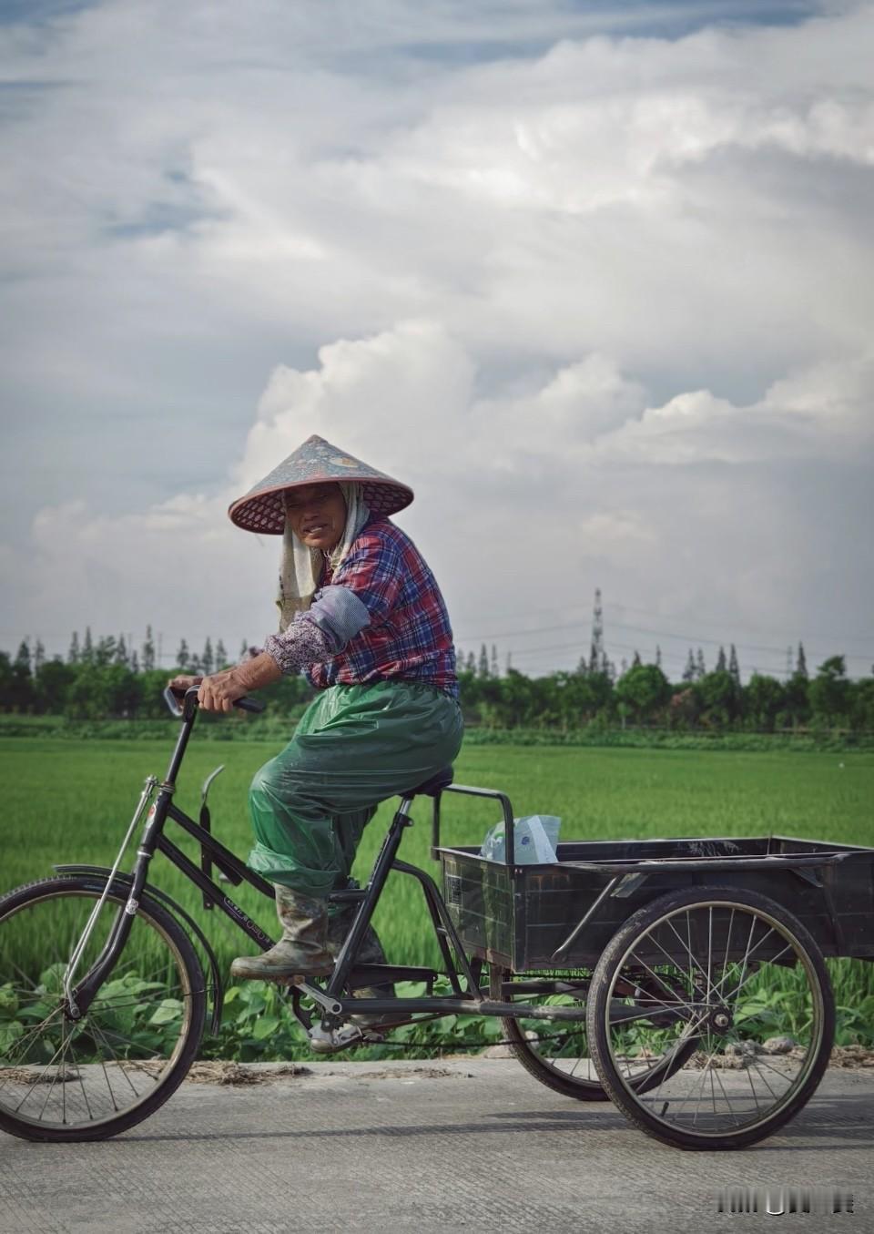 发一张现拍的乡村风景照