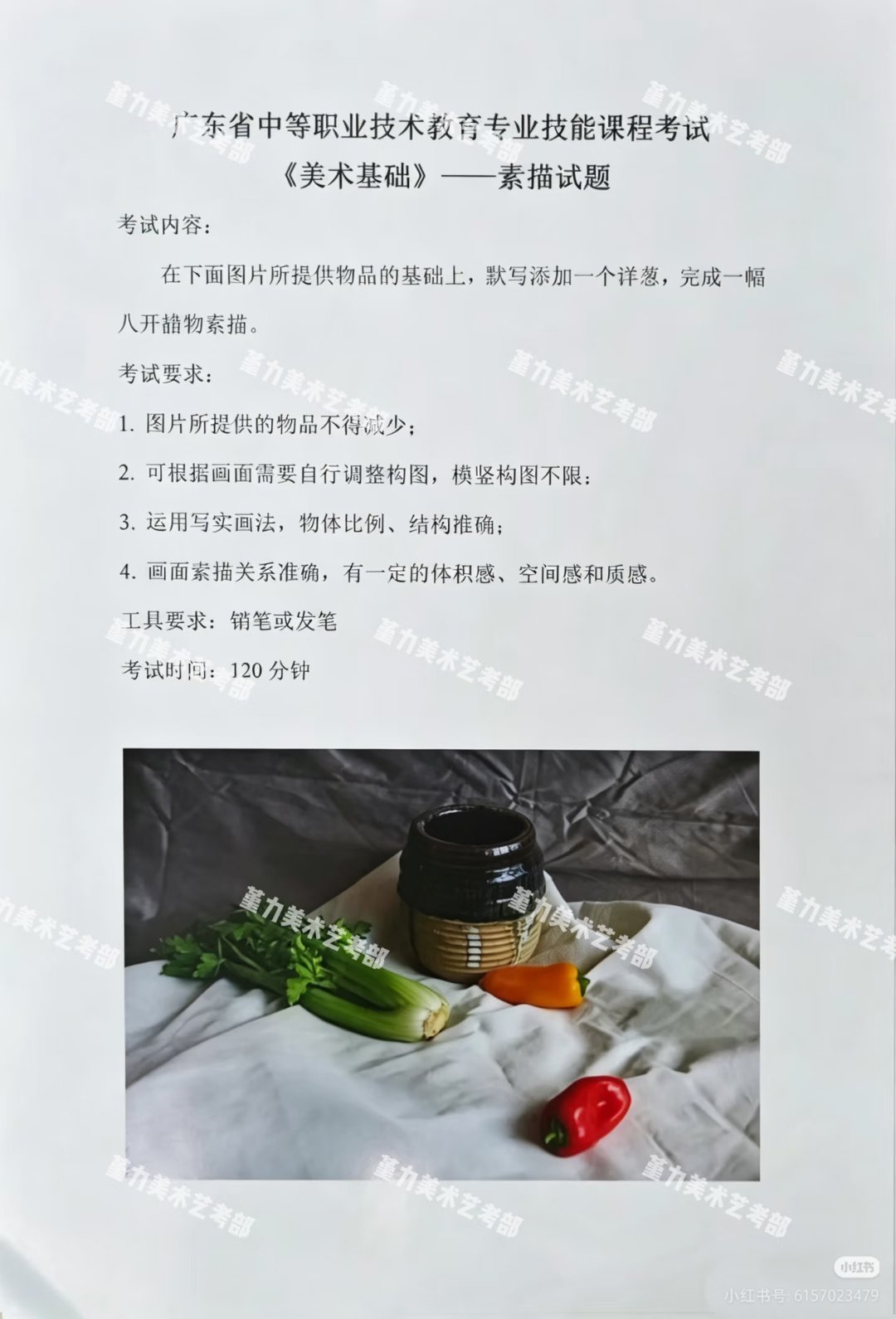 谁懂 我昨天考证的时候忘记洋葱长啥样了。 