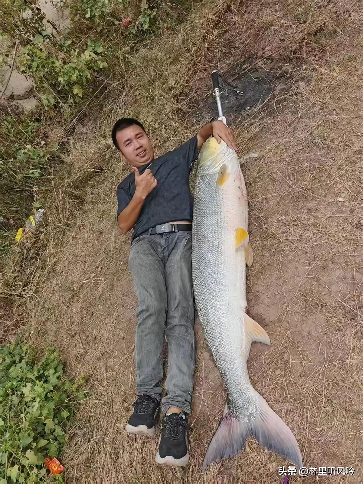 家人们快看重庆这位“显眼包”！罗先生是个驾校教练，爱钓鱼十多年了，前不久在乌江涪