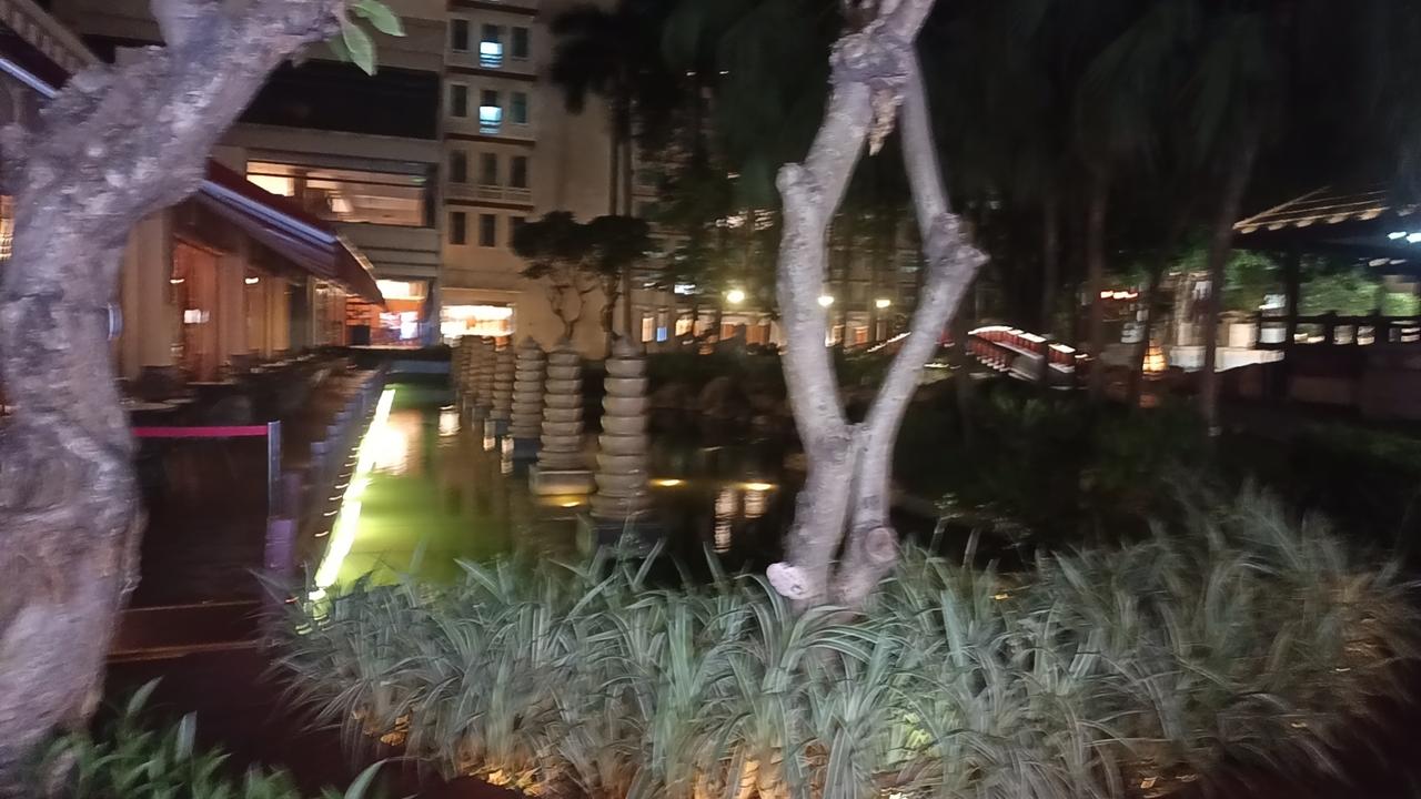 9月18日特吉生肖运势指南
 ✨今日特吉：兔、马、猪
 
🐇属兔（三合助力）