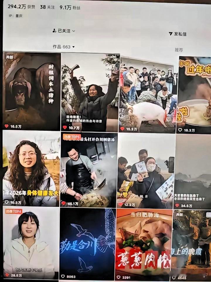 合川文旅十年攒100万赞，一个呆呆一天狂揽190万，这波流量密码藏不住了！

不