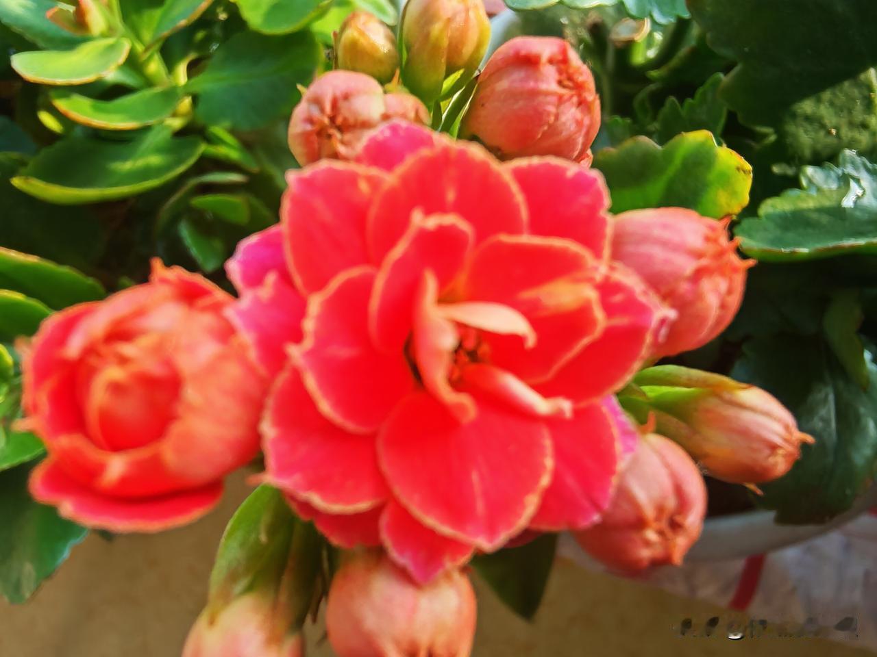 有时候，一点点小美好都是我们热爱生活的理由！