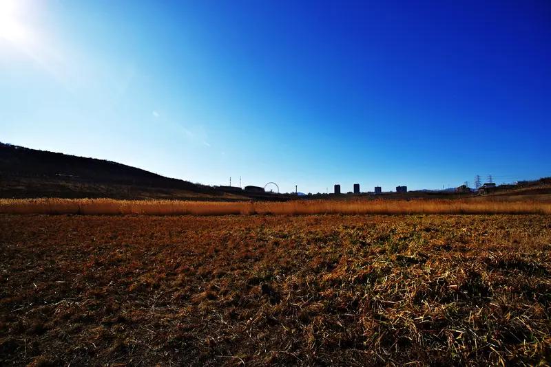 四补
人要活的精神离不开这四补：

1.天补

   记得多出门转转，让阳光晒在