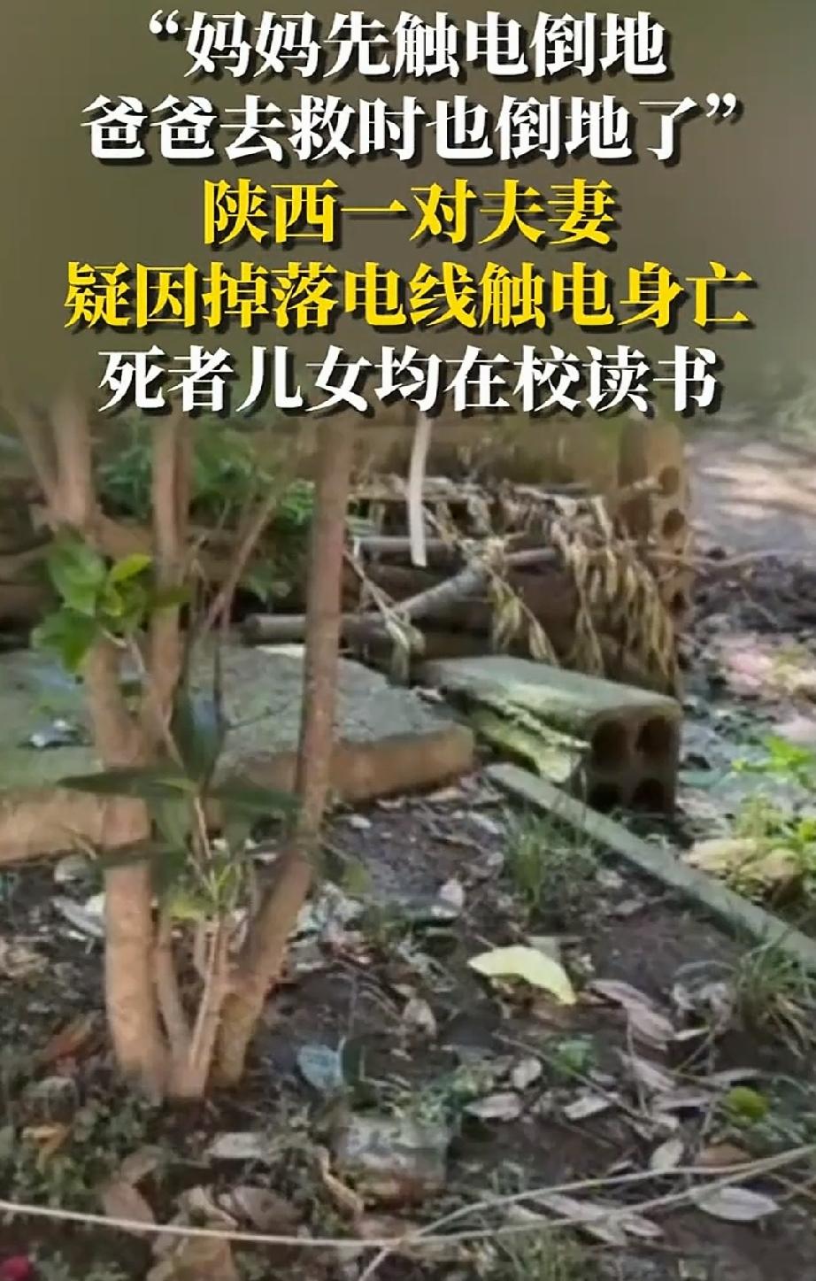 7月22日，陕西宝鸡永清村。一对中年夫妻一前一后在雨天村中行走。路上到处都是积水