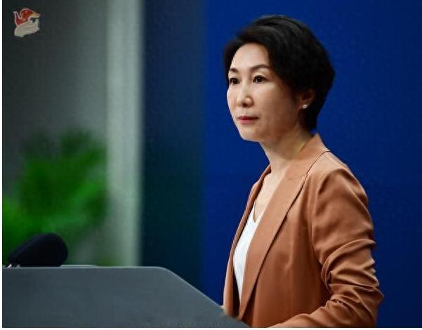 中国是真正吃透了瓦森纳协议，瓦森纳协议就是对军民两用物资进行限制，现在这个中国版