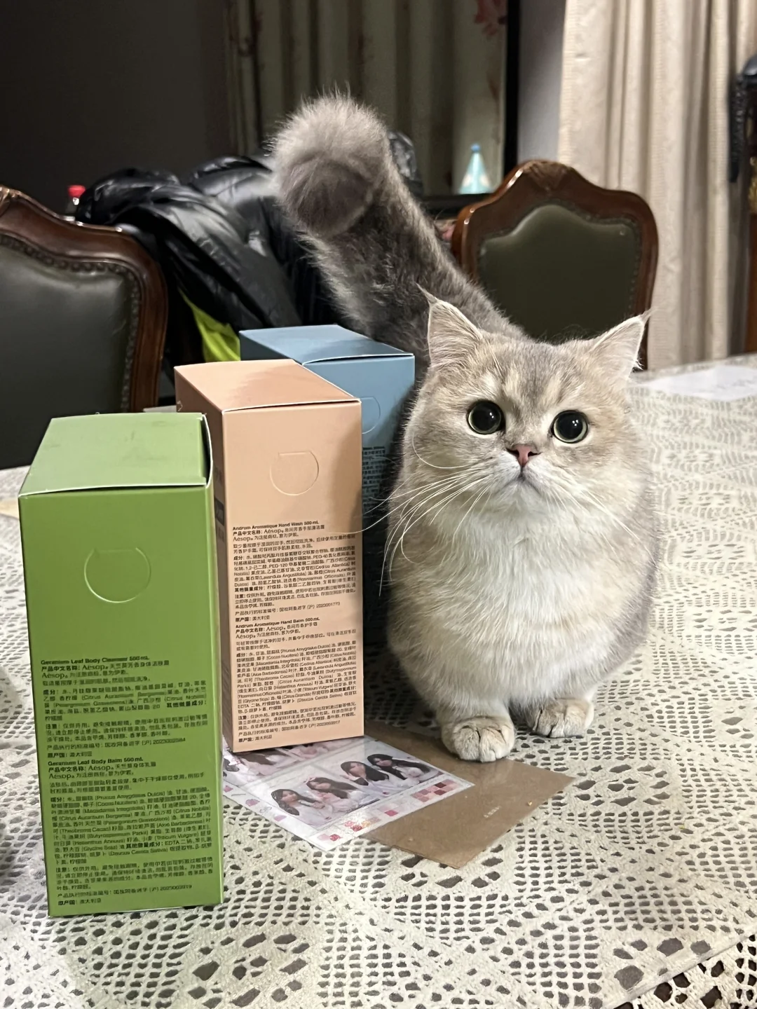 这些都是给我的吗