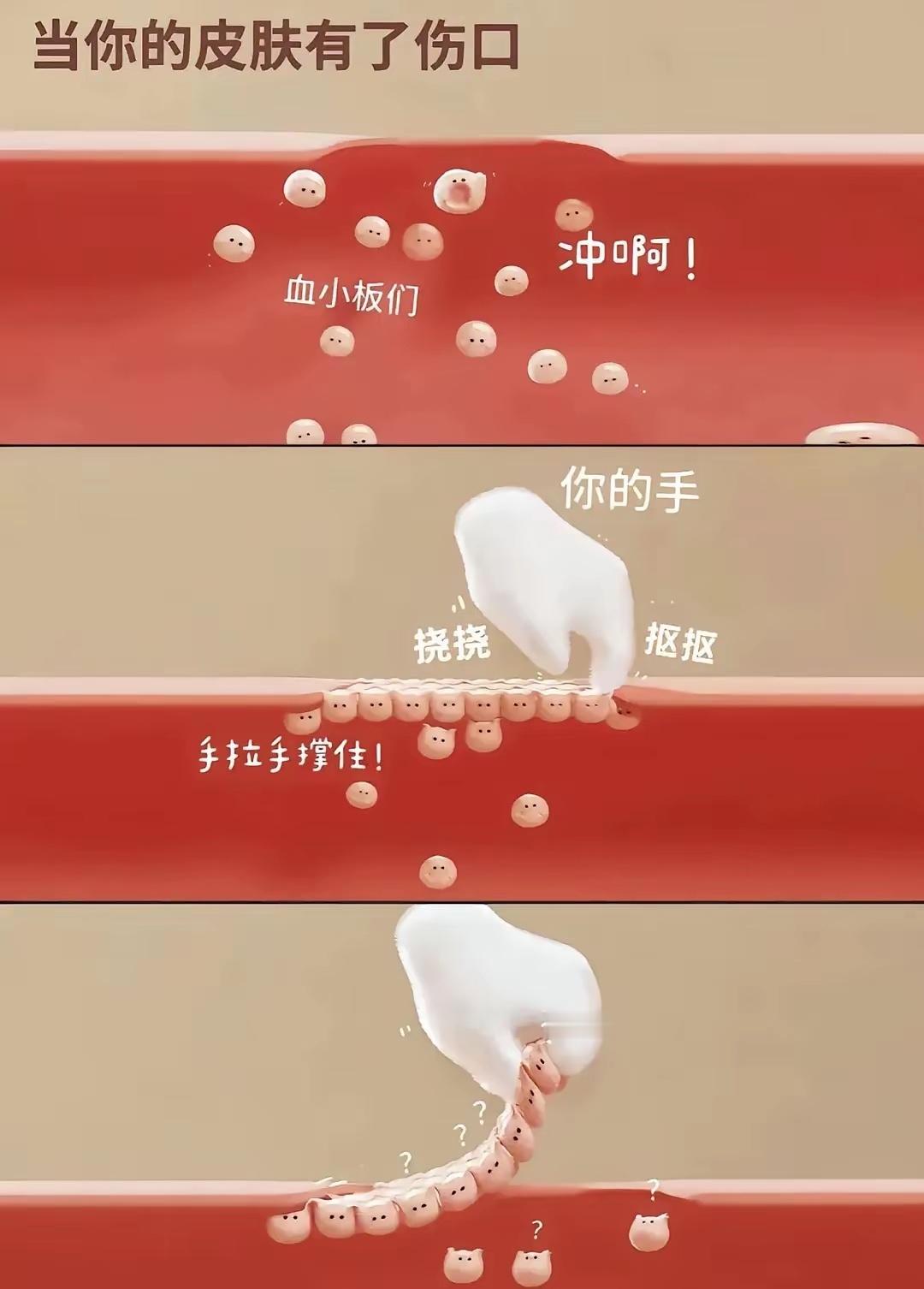 人体机制就这样的，快好的时候就会痒，痒就是让你故意让你抠的。只是苦了你的血小板。