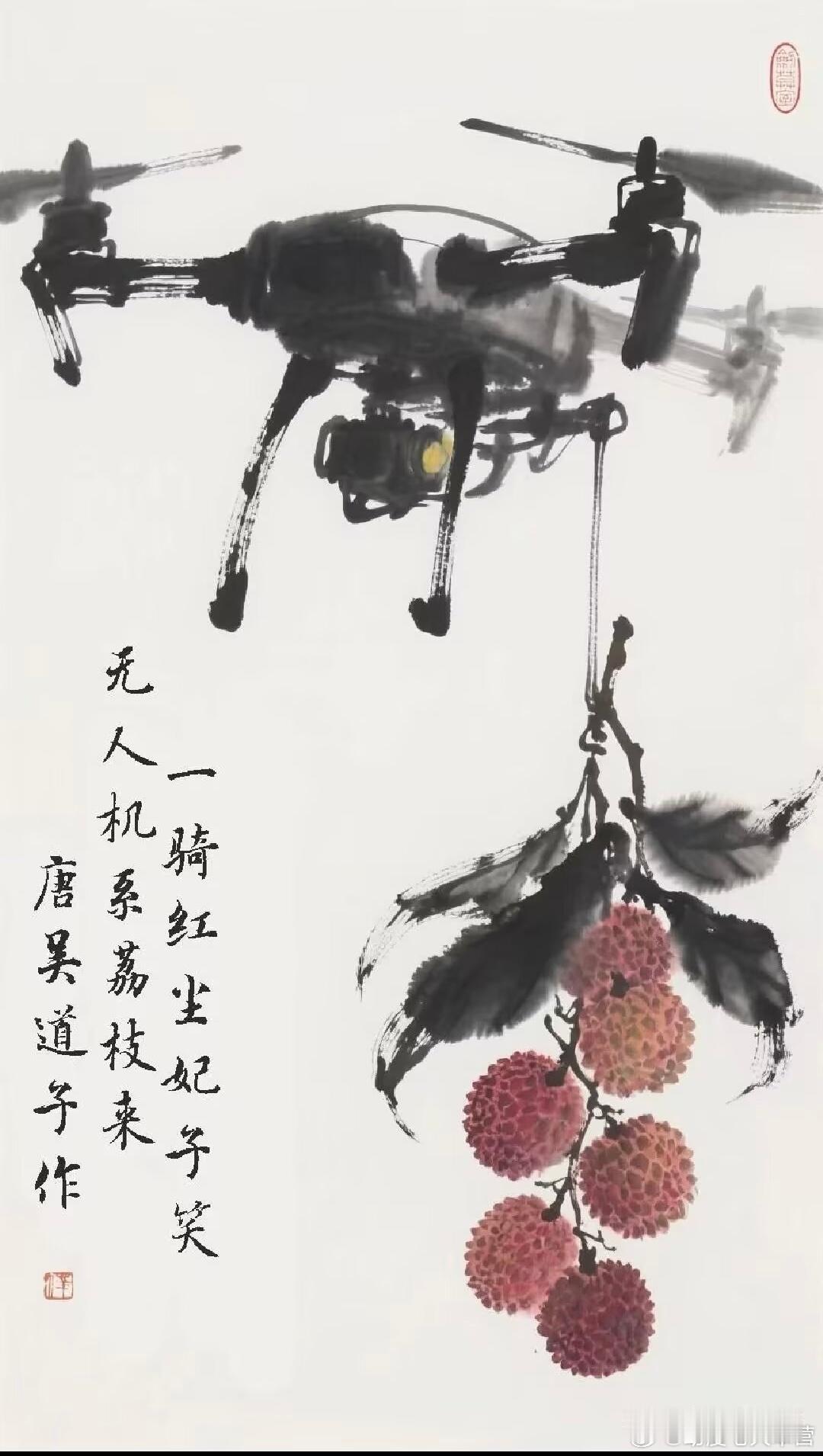 一骑红尘妃子笑，无人机系荔枝来 ​​​