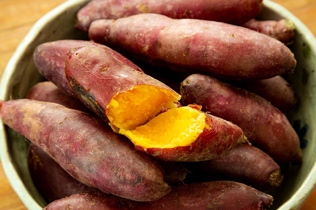 给小狗吃的话，会让小狗发疯的东西~~海外新鲜事 热点现场