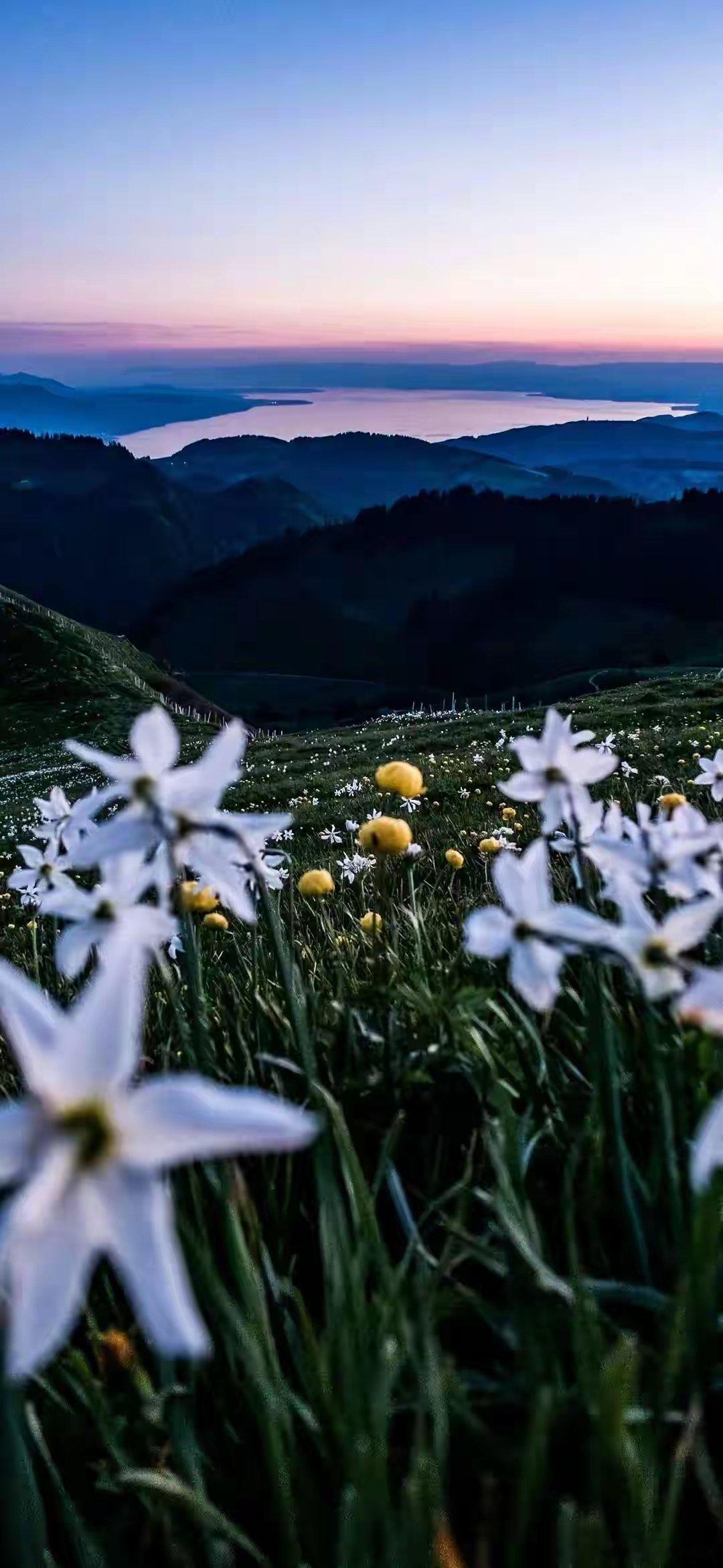 各位老铁早上好