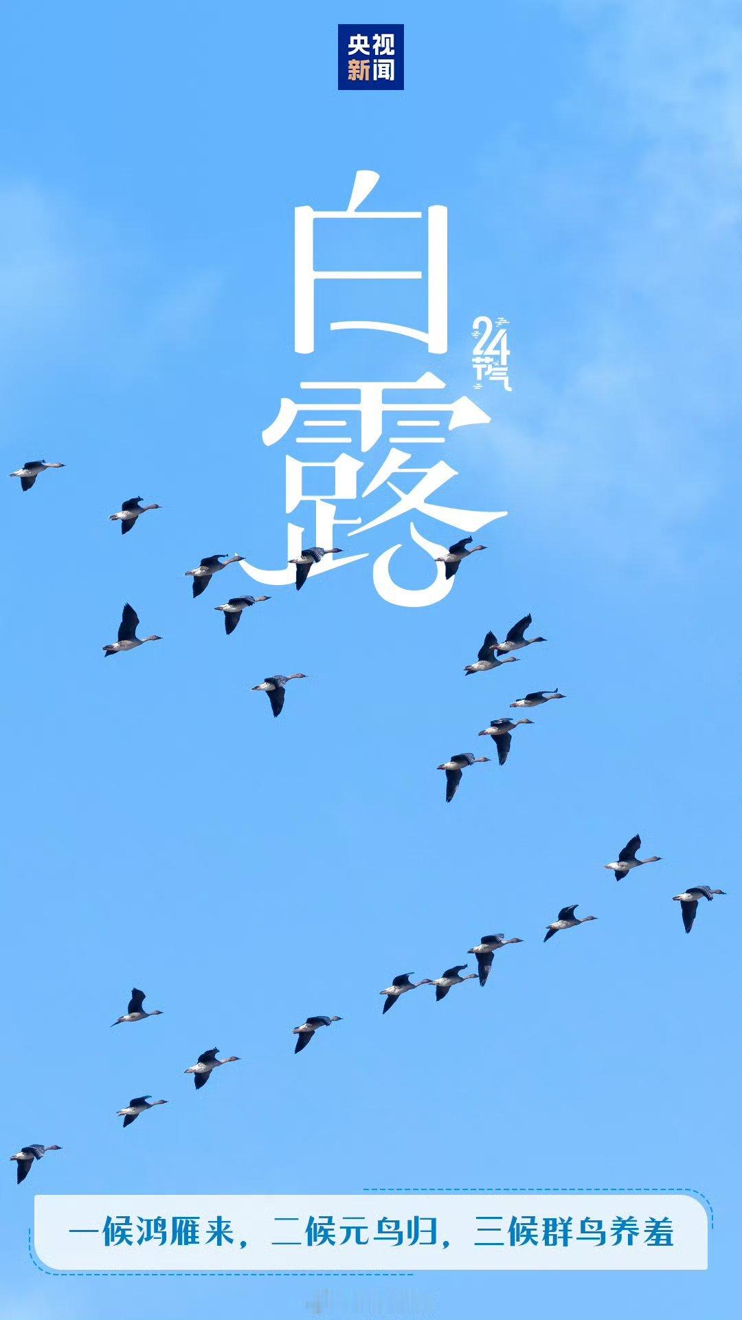 今日16时51分白露今天是白露，秋季的第三个节气，万事顺遂～ ​​​