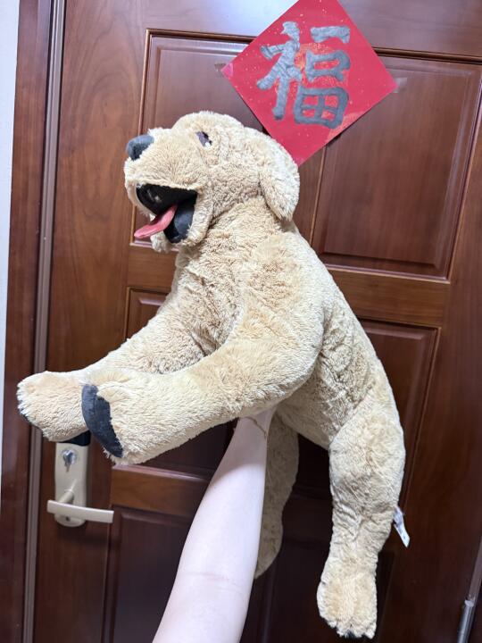 谁家小笨狗