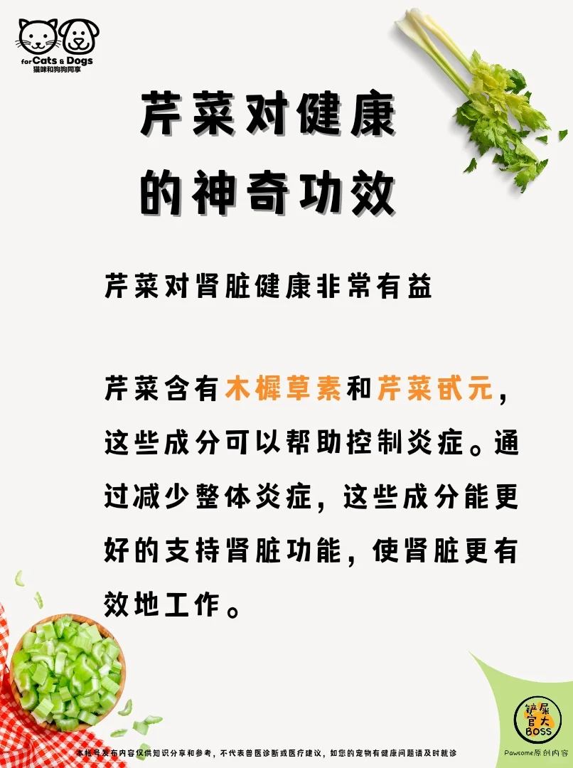 芹菜与健康