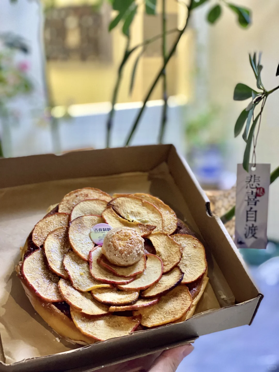 哇噢！大爱北滘这家宝藏苹果挞啊！