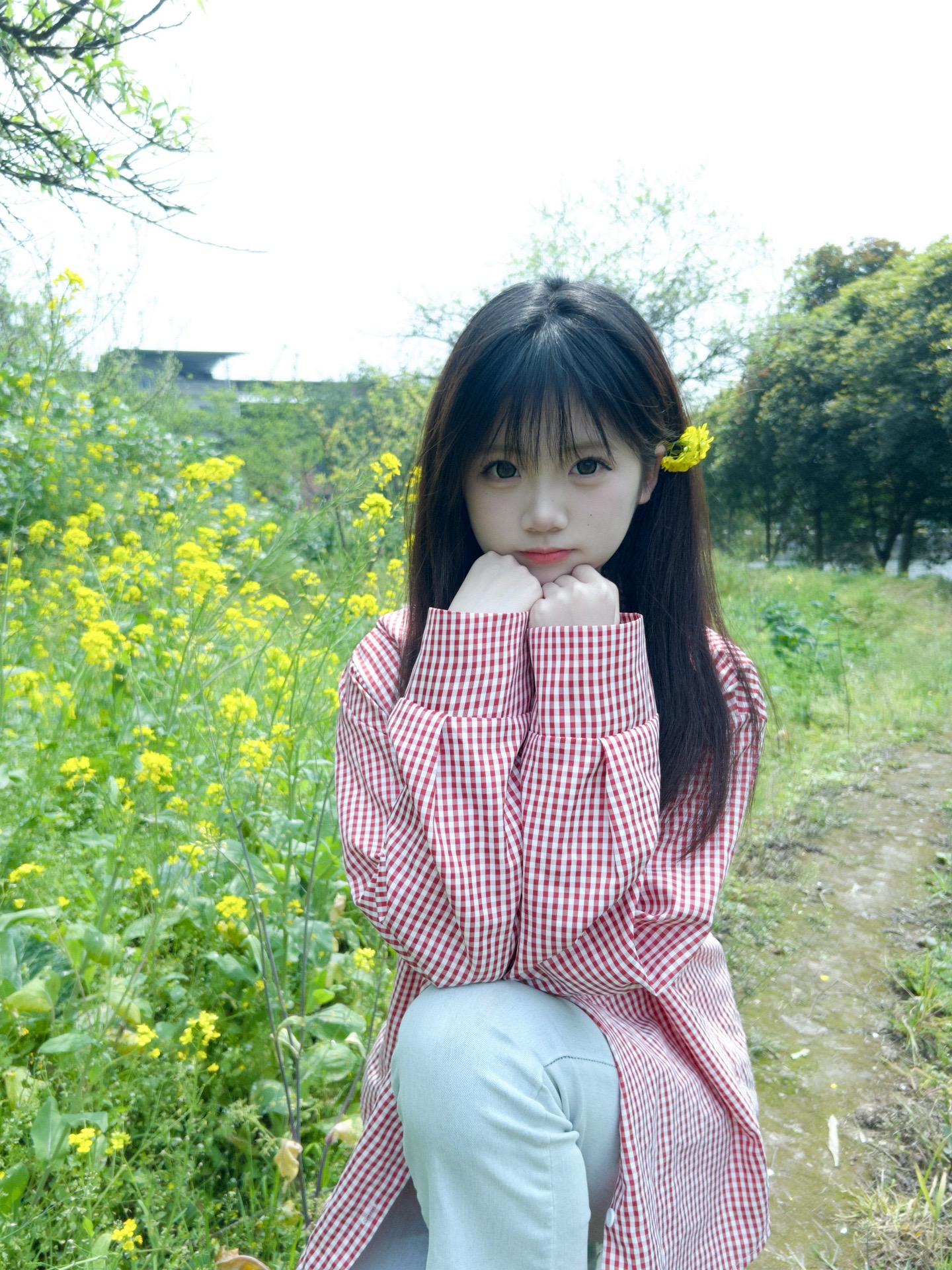 油菜花