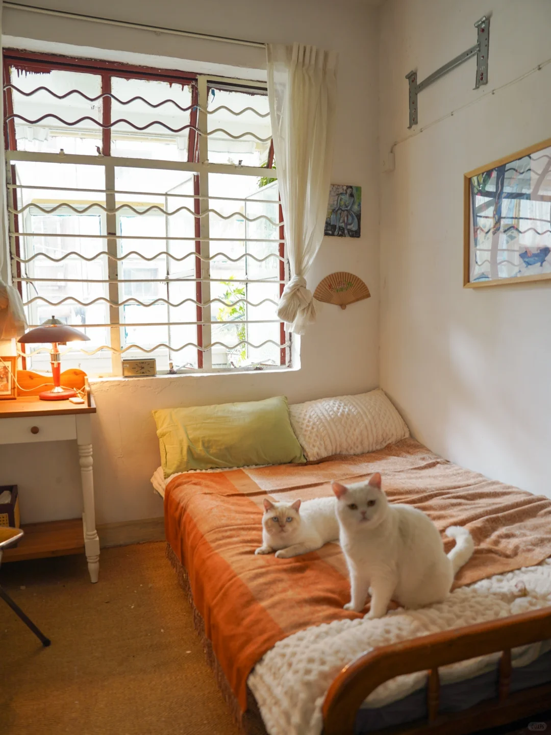 不被任何风格定义，与猫同住的老房子。