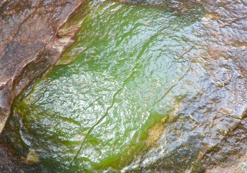 水头油头很大啊！ 