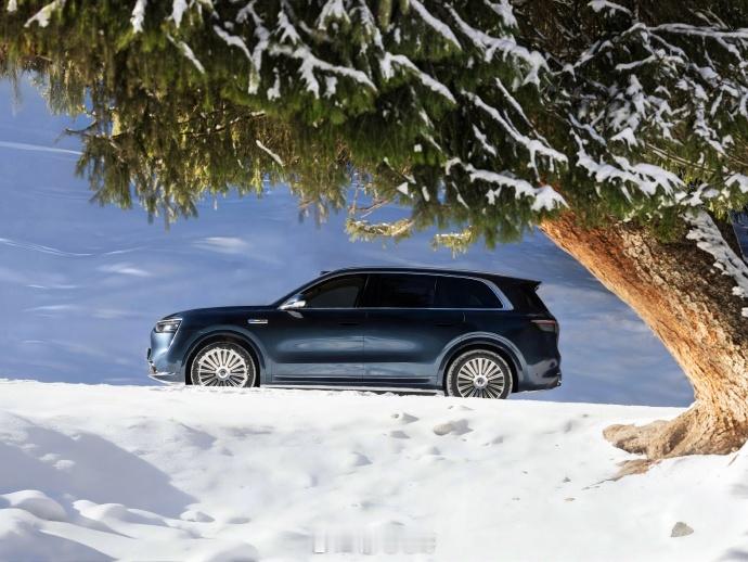 全球电动车市场概览（2025 年 1–11 月 vs 2024 年同期）全球：1