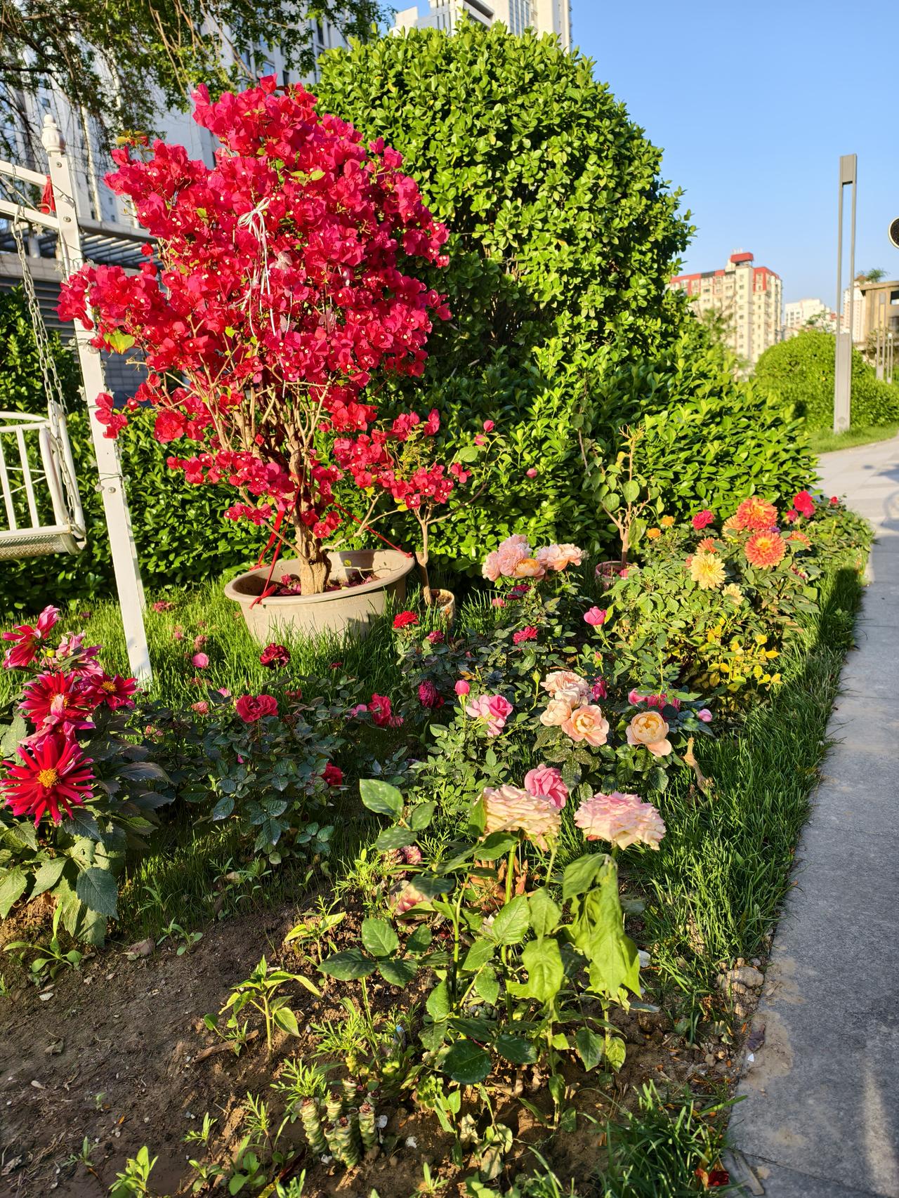 春天的仪式感非常强，万物复苏、鲜花盛开，每个人的精气神十足，春天是世间最灿烂的季