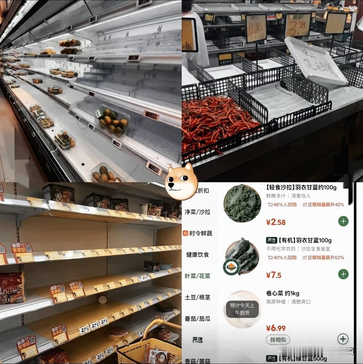 台风“桦加沙”又来了，广东人究竟能否抵挡？

台风“桦加沙”又双叒来了，广东人到