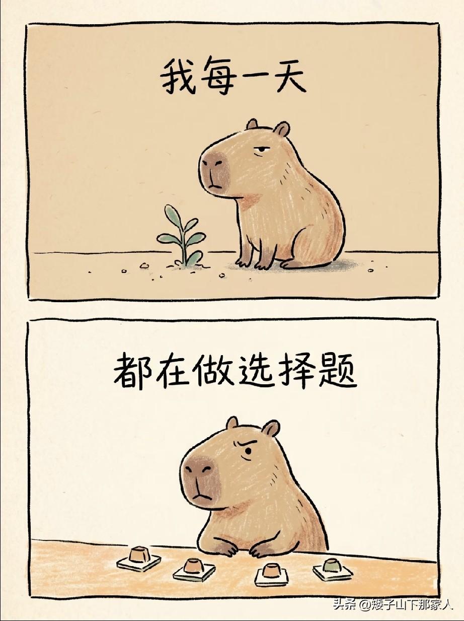 每天都在做题，做选择题