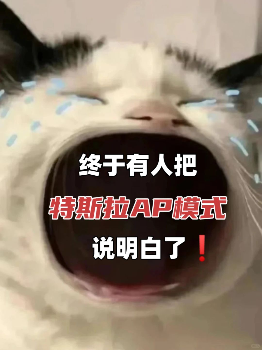 看懂这些，才敢用特斯拉AP模式⚠️存下了❗