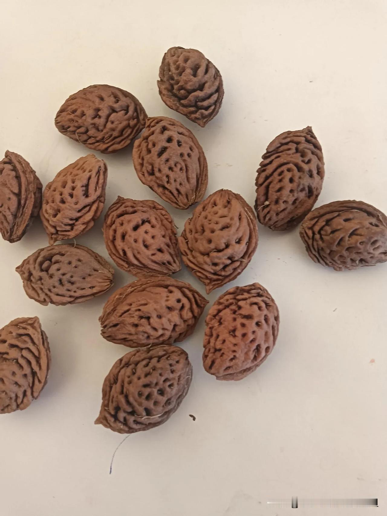 看看我的桃枭，今年正月里刚刚摘下来整理干净了。
做点啥好呢？纹路深，质地坚硬。做
