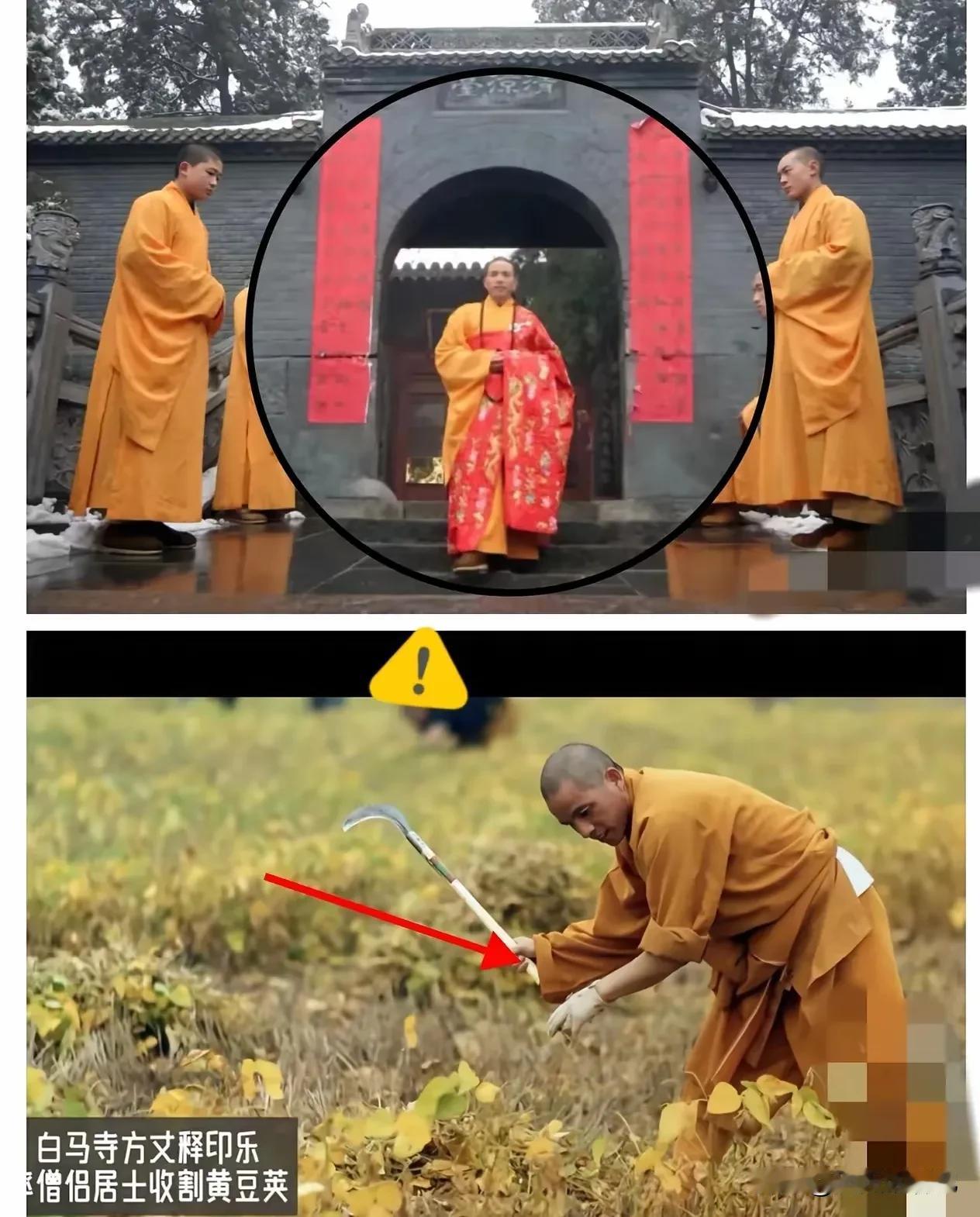 少林寺换方丈了，
新方丈上任就烧三把火，
取消原来一切向前看的浓重商业味，
实行