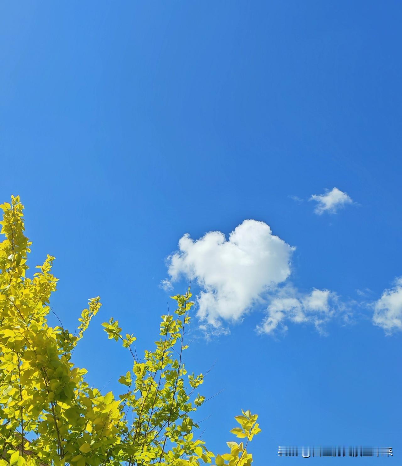 记录我的2026晴空树影